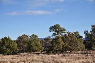 9075 Bird Dog Cir, Williams, AZ 86046 - Photo 1