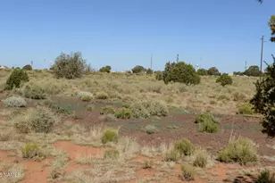 765 US Hwy 180, Williams, AZ 86046 - Photo 1