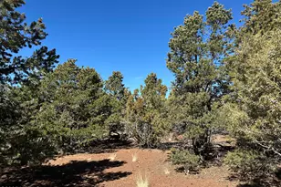 10379 N Overlook Dr, Williams, AZ 86046 - Photo 1