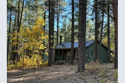 6640 Mormon Lake Road, Mormon Lake, AZ 86038 - Photo 1