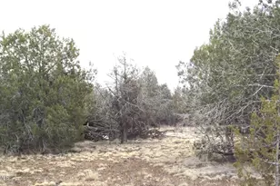 3581 N Knoll Dr, Williams, AZ 86046 - Photo 1