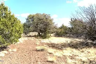 12770 N Kendall Aspen Wy, Williams, AZ 86046 - Photo 1