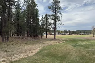 911 S Torrey Pines Dr, Williams, AZ 86046 - Photo 1