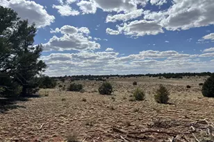 8913 Water Tank Cir Lot C, Williams, AZ 86046 - Photo 1