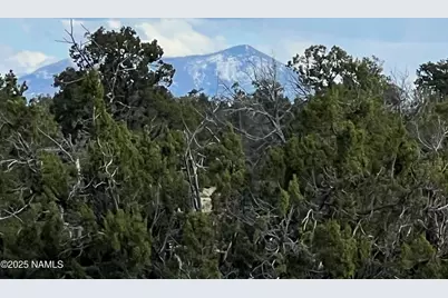 9558 Bird Dog Circle, Williams, AZ 86046 - Photo 1