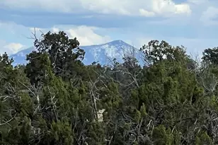 9558 Bird Dog Cir, Williams, AZ 86046 - Photo 1