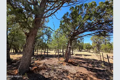 3874 Durango Drive, Happy Jack, AZ 86024 - Photo 1