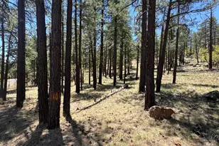 1575 Pine Meadow Drive, Williams, AZ 86046 - Photo 1