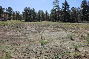 6668 Johnson Ranch Rd, Flagstaff, AZ 86004 - Photo 1