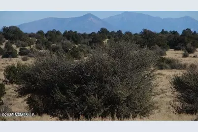 7420 Mineral Wells Road, Williams, AZ 86046 - Photo 1