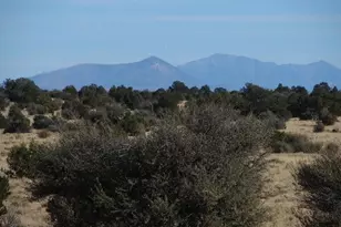 7428 Mineral Wells Rd, Williams, AZ 86046 - Photo 1