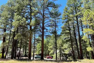 837 W Coy Dr, Flagstaff, AZ 86005 - Photo 1