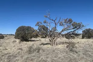 790 S Wyandotte Rd, Williams, AZ 86046 - Photo 1