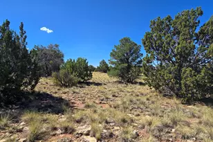 3810 E Wingfield Rd, Williams, AZ 86046 - Photo 1