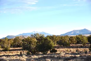 9075 Bird Dog Cir, Williams, AZ 86046 - Photo 1