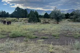 8090 Fran Dr, Flagstaff, AZ 86004 - Photo 1