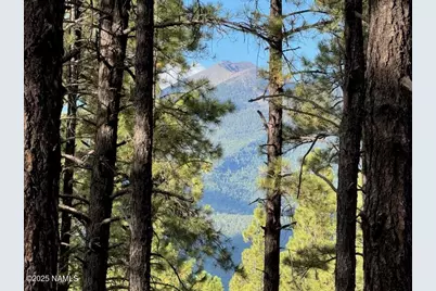 9285 Coyote Pass, Flagstaff, AZ 86001 - Photo 1