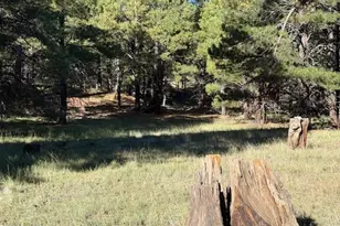 5440 Cottontail Ln, Flagstaff, AZ 86005 - Photo 1