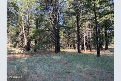 5800 White Tail Lane, Flagstaff, AZ 86005 - Photo 1