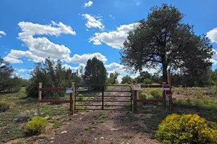 10422 W Red Bluff Rd, Williams, AZ 86046 - Photo 1