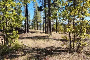 1564 W Lower Coconino Ave, Flagstaff, AZ 86001 - Photo 1