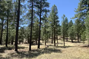 2343 E del Rae Dr, Flagstaff, AZ 86005 - Photo 1
