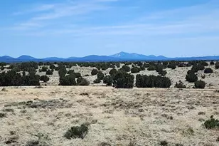 3566 W Clove Hitch - Lot A 24 Ac Rd, Williams, AZ 86046 - Photo 1