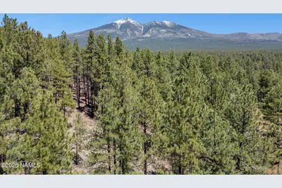 5216 Hidden Hollow Road, Flagstaff, AZ 86001 - Photo 1