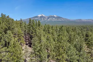 5216 Hidden Hollow Rd, Flagstaff, AZ 86001 - Photo 1
