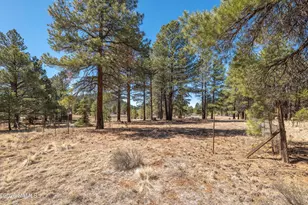 4122 N Mountain View Way, Parks, AZ 86018 - Photo 1