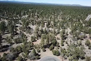 5859 Teton Way, Happy Jack, AZ 86024 - Photo 1