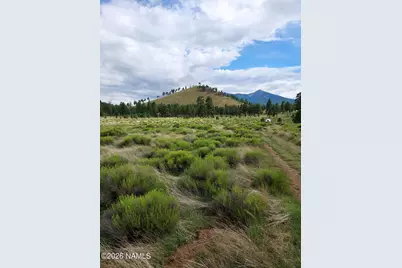 21 Fun Valley Road, Flagstaff, AZ 86001 - Photo 1