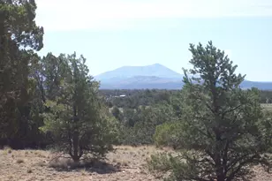 1650 S Kaibab Rd, Williams, AZ 86046 - Photo 1