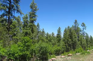 1039 Timbernook, Williams, AZ 86046 - Photo 1