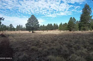 Tbd Forest Ranches Loop, Parks, AZ 86018 - Photo 1