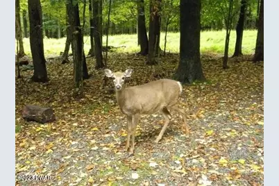 1042 Alder Drive, Newfoundland, PA 18445 - Photo 27