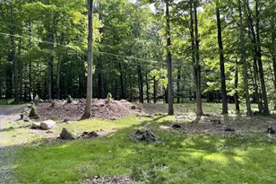 1042 Alder Dr, Newfoundland, PA 18445 - Photo 23