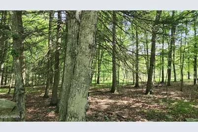 Lot 91 Pocono Mountain Lake Drive, Bushkill, PA 18324 - Photo 3