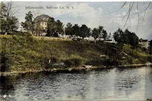 807 Swiss Hill Rd N, Callicoon Center, NY 12748 - Photo 35