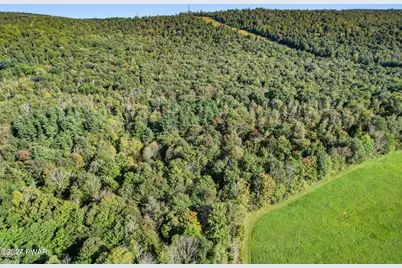 48 Jericho Road, Newfoundland, PA 18445 - Photo 51