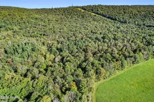 48 Jericho Rd, Newfoundland, PA 18445 - Photo 51