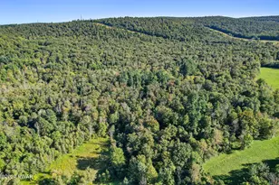 48 Jericho Rd, Newfoundland, PA 18445 - Photo 47