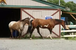 139 Lamplighter Ln, Lackawaxen, PA 18435 - Photo 33