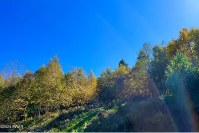 5585 River Road, Equinunk, PA 18417 - Photo 39