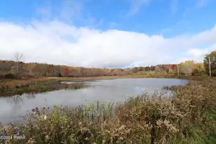 257 Turner Rd, Pleasant Mount, PA 18453 - Photo 25