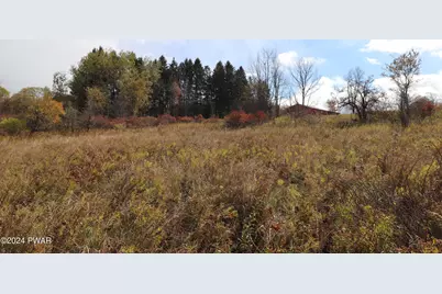 257 Turner Road, Pleasant Mount, PA 18453 - Photo 29