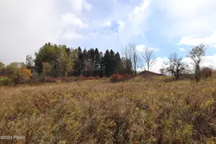 257 Turner Rd, Pleasant Mount, PA 18453 - Photo 29