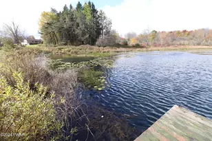 257 Turner Rd, Pleasant Mount, PA 18453 - Photo 27