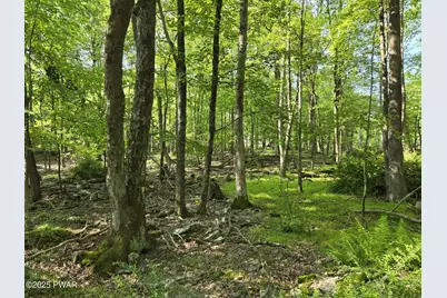 Lot 4 Bluegill Road, Milford, PA 18337 - Photo 3