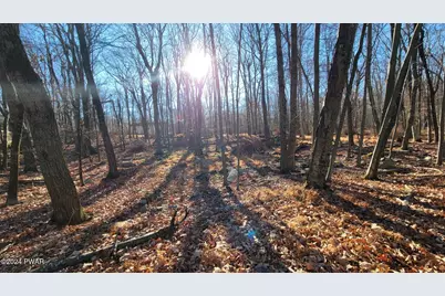 Lot 4 Bluegill Road, Milford, PA 18337 - Photo 5